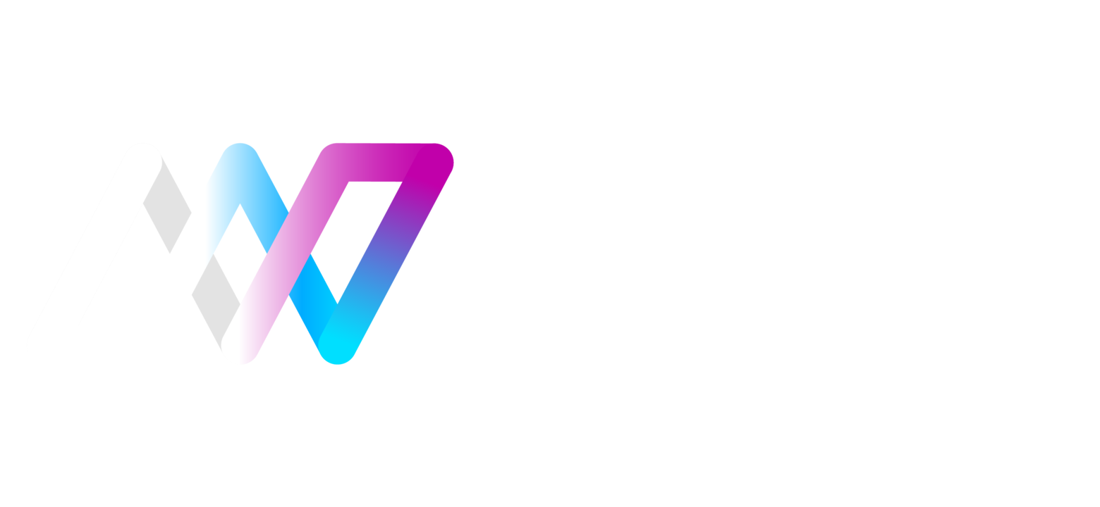 Machines with Vision
